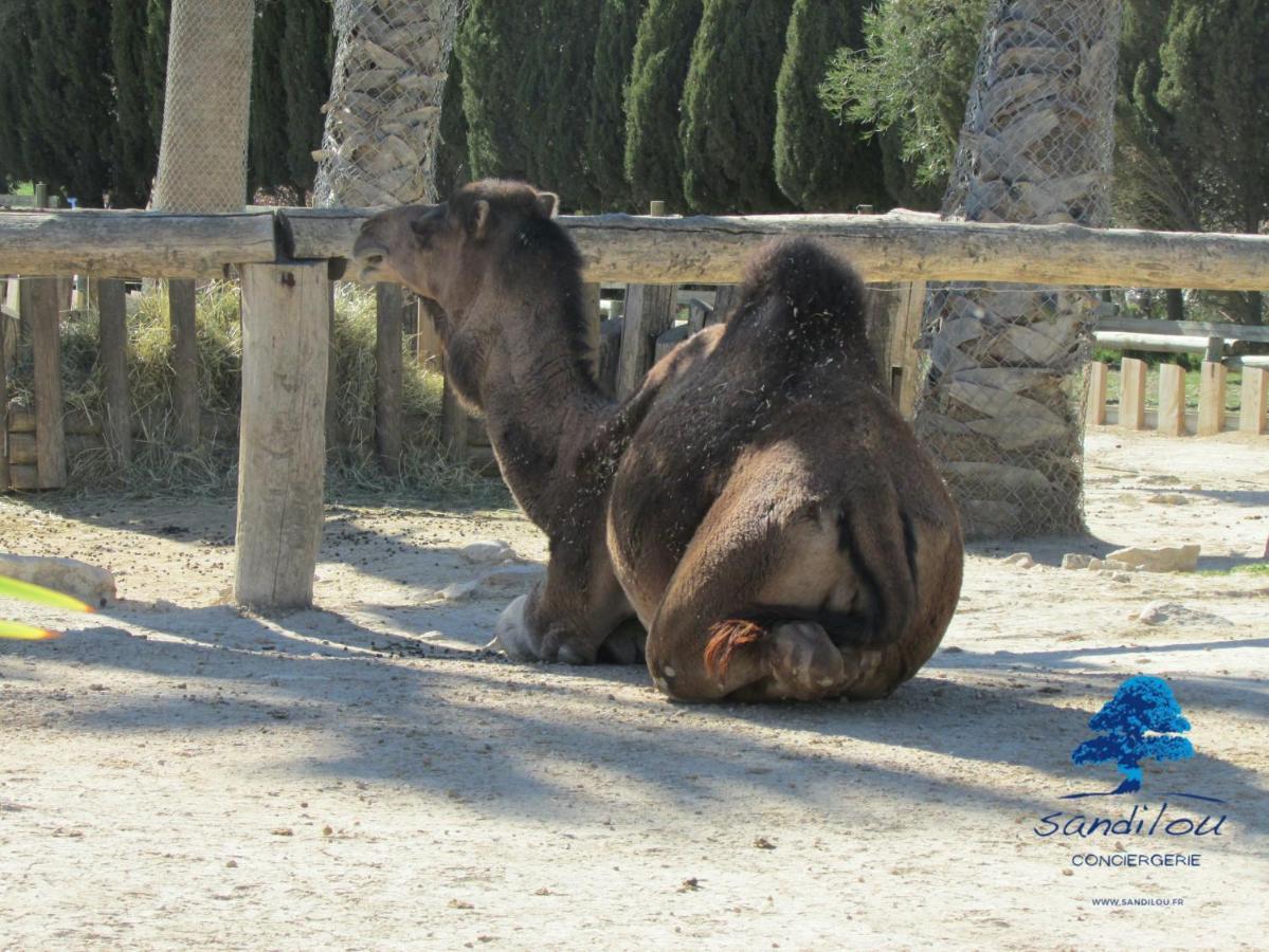 Mobilhome Paradis Bikini Sigean Εξωτερικό φωτογραφία
